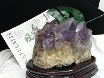《晶華》水晶 剛果 大牙 紫水晶 2.2公斤  04BI05-1