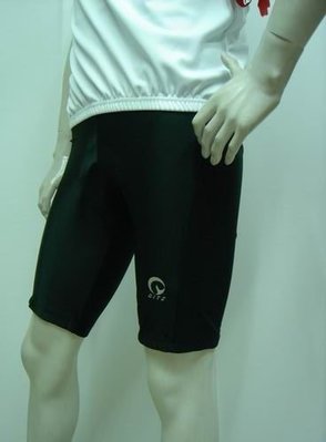 專業版 自行車車褲 自行車短褲 專業3D立體拼接車縫.外銷美國高水準產品排汗快乾杜邦coolmax坐墊