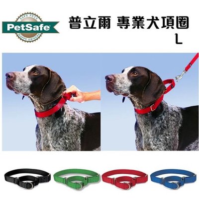 美國 petsafe 普立爾 Premier 專業犬頸圈（L）訓練可.非P字鍊.防掙脫~項圈