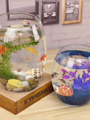 創意桌面魚缸生態圓形玻璃金魚缸烏龜缸迷你小型造景家用水族箱
