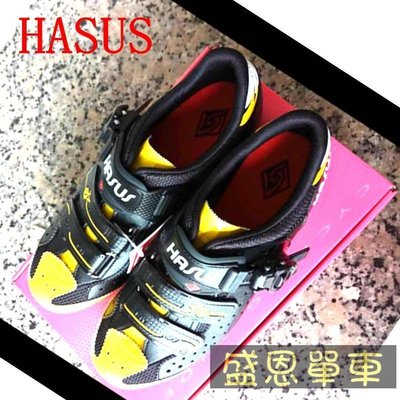 【台灣製】 HASUS 哈卡鞋 多功能硬底車鞋(非卡式) 硬底鞋  高雄