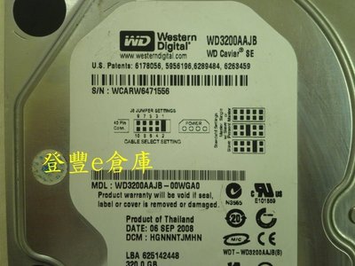 【登豐e倉庫】 YF425 WD3200AAJB-00WGA0 320G IDE 硬碟