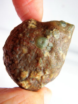 戈壁象形眼石瑪瑙俏綠眼的小刺蝟  阿拉善瑪瑙 眼石 文石