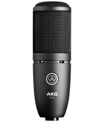 【欣和樂器】AKG P120 大震膜 電容式麥克風 錄音/唱歌/廣播