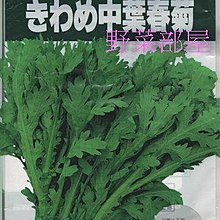 野菜部屋 大包裝 C02 日本山茼蒿1磅原袋裝 又名春菊 約萬顆種子 Yahoo奇摩拍賣