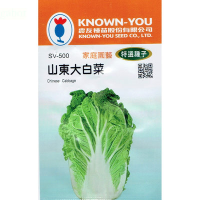 種子王國 山東大白菜(Chinese Cabbage) sv-500 【蔬菜種子】每包約150粒 農友種苗特選種子
