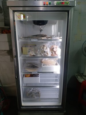 玻璃單門冷凍冰箱 220V / 500L