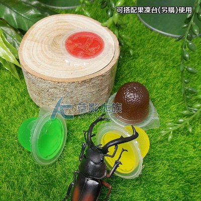 【AC草影】Insect Man 黑糖口味甲蟲果凍（16g/10入）【一包】成蟲 飼料 可搭配果凍台