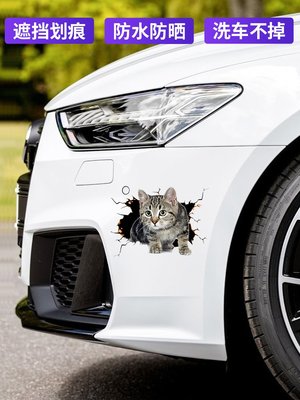 汽車貼紙 創意 個性 3D仿真立體貼 小貓車貼 可愛 卡通 貓咪 貼紙 車身劃痕遮擋 裝飾貼 車窗 前槓 引擎蓋貼 改裝-飛馬汽車