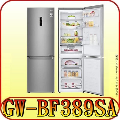 《三禾影》LG 樂金 GW-BF389SA (晶鑽格紋銀) 雙門冰箱 343公升【另有RBX330】