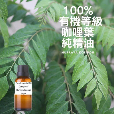 100% 有機等級 咖哩葉/可因式月橘 純精油 Curry Leaf Pure Essential Oil-100ml