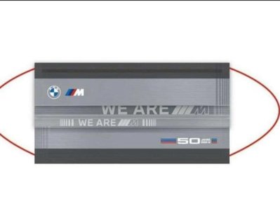 （單1片賣場）中衛 csd * BMW 聯名款 車廠 口罩（1片）限定特殊款 汎德汽車 稀有新品 全新未拆 BM50週年
