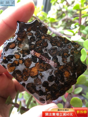 肯尼亞橄欖石隕石切片 擺件 古玩 雜項【麒麟閣】7227
