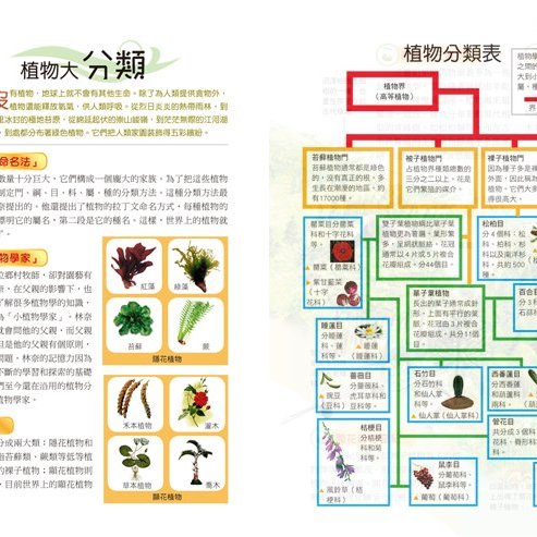 世昕網路童書 奇異 植物王國大觀察 特價180 元 Yahoo奇摩拍賣