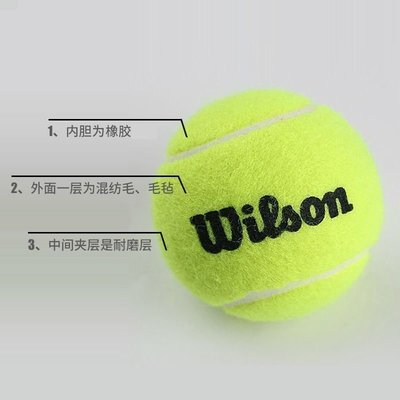Wilson威爾勝訓練網球練習球耐磨耐打威爾遜無壓比賽網球 T1312~特價