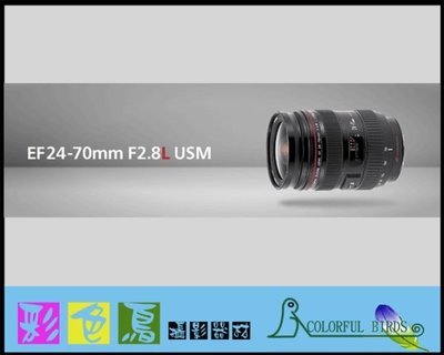 彩色鳥 (鏡頭出租*相機出租*攝影機出租*DV出租) Canon EF 24-70mm f2.8L USM  5D2 7D canon 24-70mm
