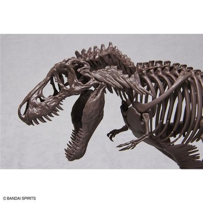 *現貨萬代 1/32 Imaginary Skeleton 霸王龍 恐龍骨架化石模型
