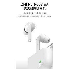 ZMI紫米PurPods Pro 真降噪 主動降噪