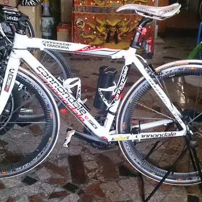 cannondale diadora