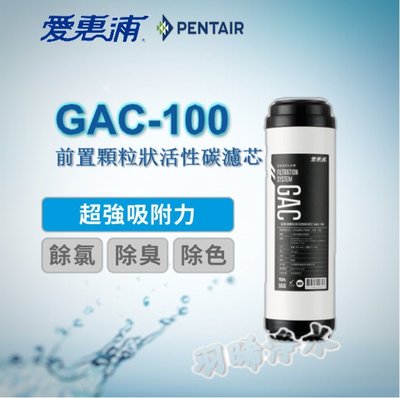 愛惠浦 10英吋前置GAC-100 顆粒狀活性碳棒濾芯