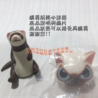 單售 暹羅貓 日本帶回 2019 貓咪偽裝頭套公仔 P2 扭蛋 轉蛋 SHINE-G