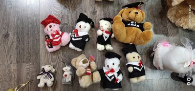 可愛絨毛玩具-各款式熊熊 熊寶貝 熊寶寶 學士熊 熊熊控愛好者~9隻便宜賣 二手品