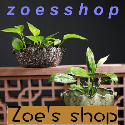 zoe-花器 種植盆 掛墻花盆壁掛陶瓷中國風創意陽臺半壁垂吊水培綠蘿懸掛式裝飾
