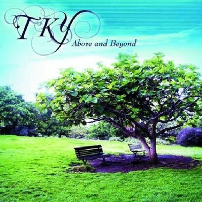 TKY Above and Beyond 現貨 全新未拆原版CD 【經典唱片】