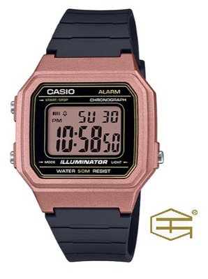 【天龜 】CASIO 簡約復古 方形數字大型液晶錶面 W-217HM-5A