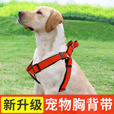 背心式狗狗牽引繩狗狗胸背帶單個背帶大中小型犬金毛泰迪寵物用品.