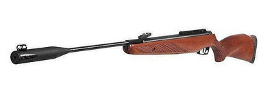 (SHOOTER武器補給）GAMO HUNTER 1250 GRIZZLY PRO 5.5mm .22 喇叭彈 頂級實木托中折式空氣長槍～免運、可分24期付款