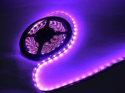 限時特價 12V 黑底粉紫光5050 SMD LED 燈條 一米60燈 一捲5米 300燈 間接照明 室內照明