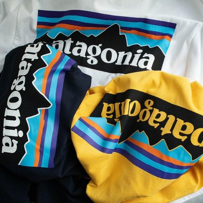 來自美國的戶外頂級品牌patagonia T恤