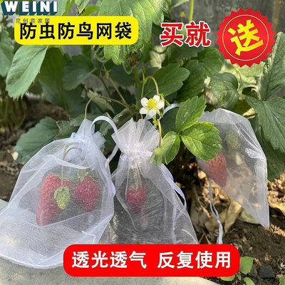 扶光居~草莓藍莓水果網套袋防蟲防鳥吃套袋紗網袋葡萄無花果透氣瓜果套袋