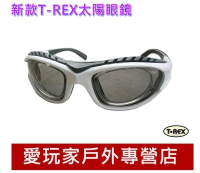 T-Rex太陽眼鏡 戶外眼鏡 路跑眼鏡 騎行眼鏡 戶外運動專用