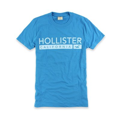 美國百分百【Hollister Co.】T恤 HCO 短袖 T-shirt 海鷗 logo 海水藍 S M號 I477