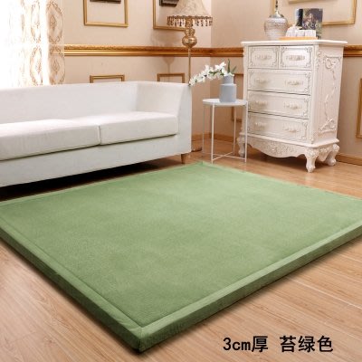《L·H·L》布藝家紡~最新款約3cm 日本 纖細超厚珊瑚絨地毯 地墊 爬行墊 加厚地毯