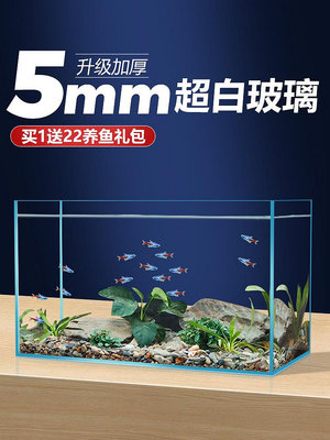 小米超白魚缸客廳小型玻璃桌面生態溪流造景懶人