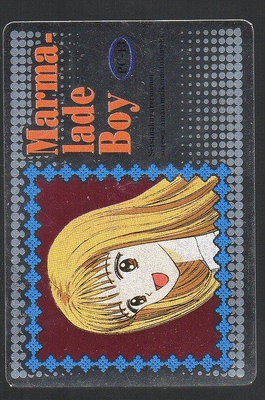 《CardTube卡族》(060829) 13 日本原裝橘子醬男孩萬變卡∼ 1994年遊戲銀閃卡
