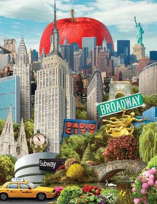 928PZ 1000片美國進口拼圖 WH 繪畫風景 城市 美國 紐約大蘋果