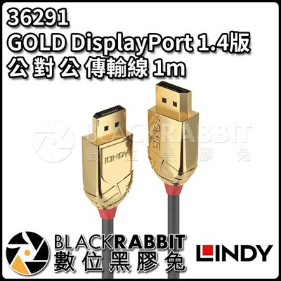 數位黑膠兔【 LINDY 林帝 36291 GOLD DisplayPort 1.4版 公 對 公 傳輸線 1m 】