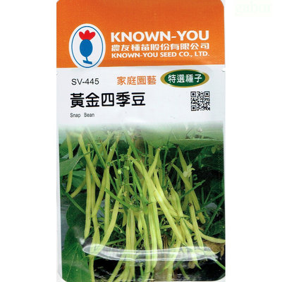種子王國 黃金四季豆Snap Bean(sv-445) 【蔬菜種子】農友種苗特選種子 每包約10公克