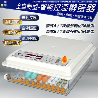 【新品現貨】一機多用 不挑蛋種 『全自動保溫孵化機』 110V 雙電源 可當保溫箱 孵蛋器 孵蛋機 孵化箱
