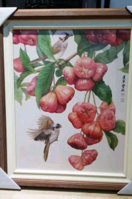 💯可裱框掛客廳️🐦中華郵政 2023年 中華民國112年郵局月曆🐦️郵票水果鳥月曆