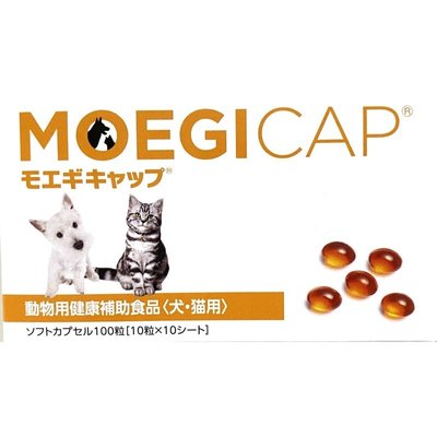 現貨 日本 共立製藥MOEGITAB 貝節益 100顆膠囊裝 寵物犬貓關節 綠唇貽貝