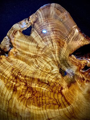 台灣檜木瘤板 雕刻 聚寶盆 樹瘤鳳尾