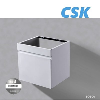 【BS】304不鏽鋼浴櫃白色烤漆 (寬49) 面盆浴櫃