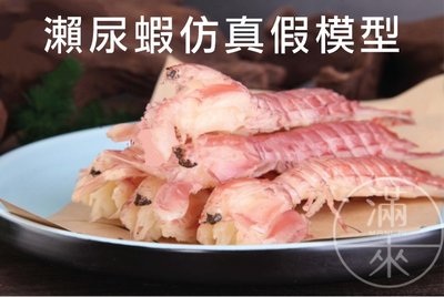 海鮮模型 瀨尿蝦18cm仿真假模型【奇滿來】瀨尿蝦 蝦子 皮皮蝦 食物拍攝 道具展示 海鮮模型 玩具 餐廳 BDBM