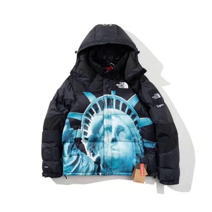 Supreme x the north face 19fw Statue of Liberty 自由女神聯名羽絨外套| Yahoo奇摩拍賣
