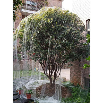 溜溜防鳥網農用果樹用網護網防鳥線網隔離的絲網防鳥罩小孔菜地圍網子